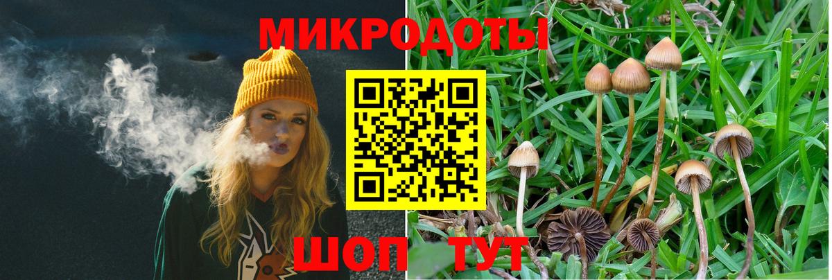 Галлюциногенные грибы Cubensis  Псилоцибиновые грибы прущие грибы  Новороссийск  Вход с VPN 